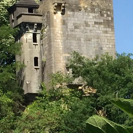 Bed & Breakfast Viscomteaux